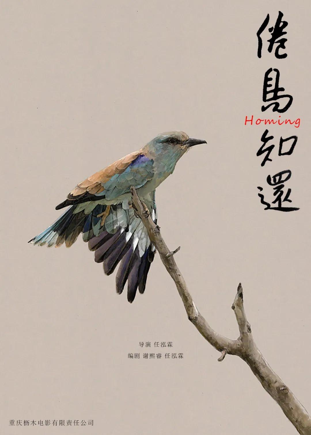 第七届中国“网络文学+”大会开幕(图13)