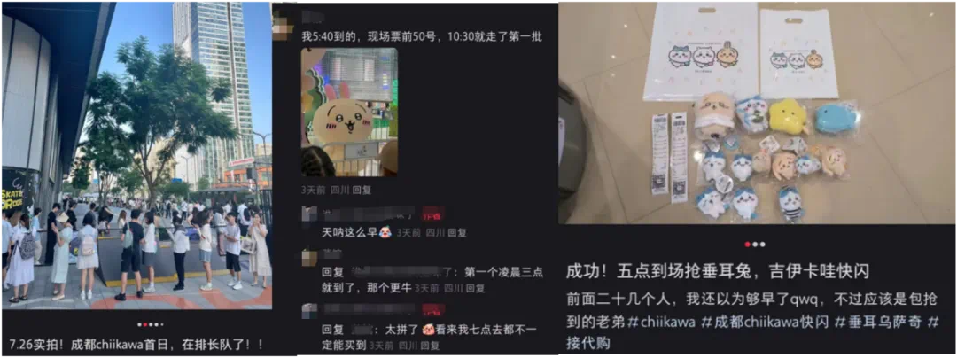 IP突然爆火！粉丝通宵排队抢购竟还限购