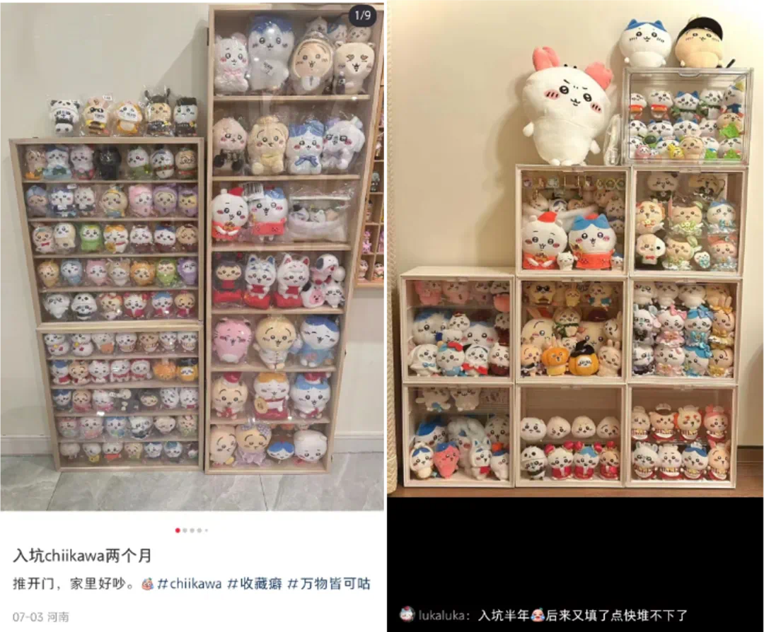 IP突然爆火！粉丝通宵排队抢购竟还限购(图6)