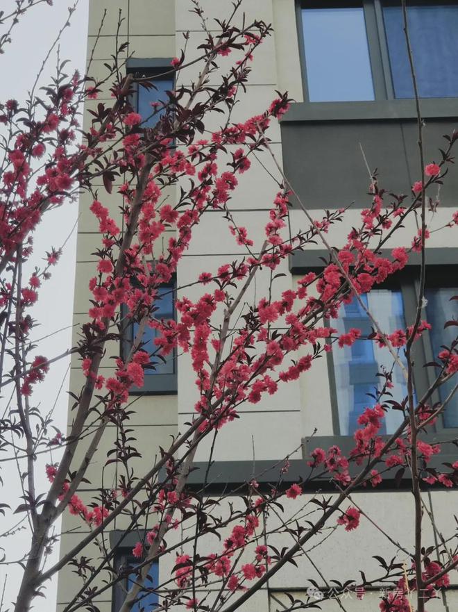 2024东岳府售楼处丨北京·中绿东岳府网站最新发布-房源房价！(图5)