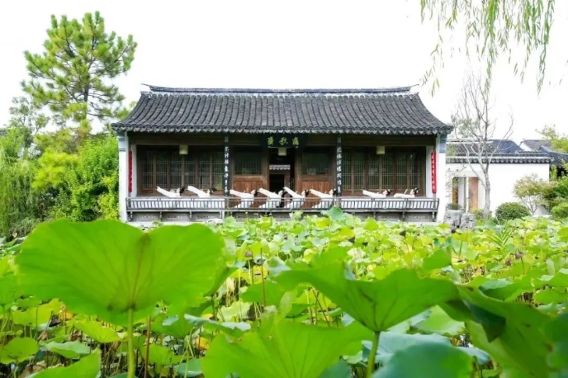 《面若桃花》第二季开播！(图2)