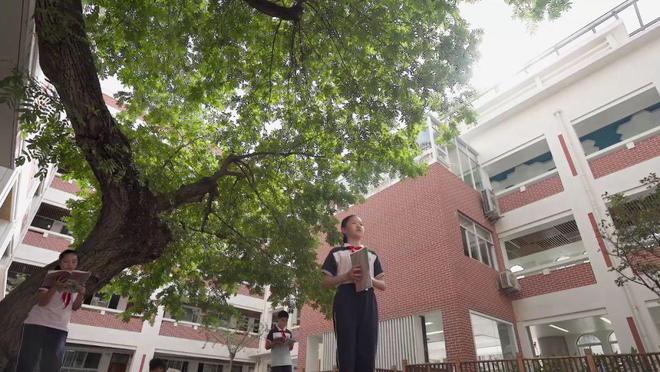 绿意文明润校园生态教育焕新彩(图3)