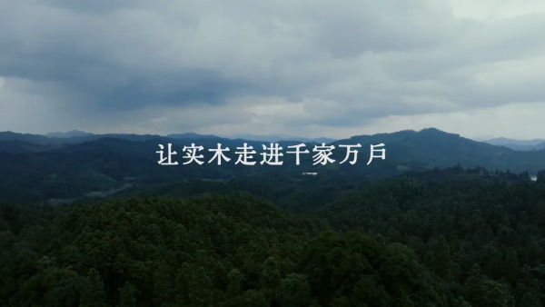 大王椰文化IP寻木之旅荣获第25届IAI传鉴国际广告·整合营销铜奖(图6)