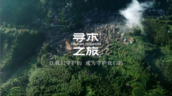 大王椰文化IP寻木之旅荣获第25届IAI传鉴国际广告·整合营销铜奖(图11)