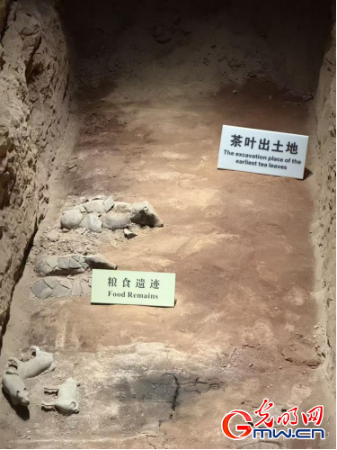 数智文遗陕西行丨从汉室陵阙看昔日文景盛世(图2)