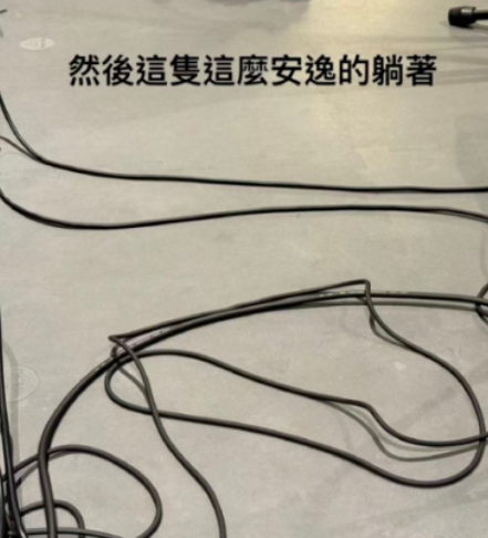 周杰伦称快被新歌逼疯“周杰伦概念股”引关注(图2)