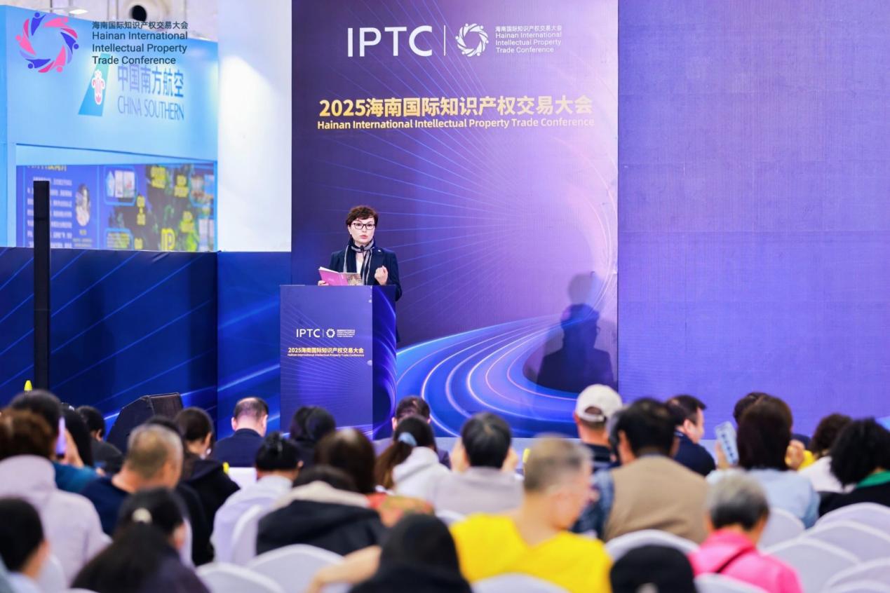 跨界共生共謀發展2025傳媒影視IP保護與創新研討會在瓊舉辦