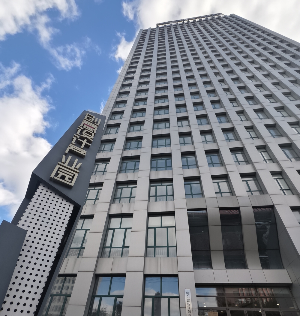 从国际大奖到爆款IP哈尔滨新区澎湃创意激活产业新动能