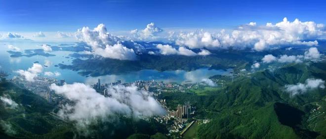 营商观察｜看深圳盐田如何玩转“场景+服务+产业”新生态？