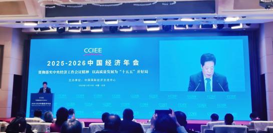 金天国际出席中国经济年会奋力实现“十五五”良好开局(图2)