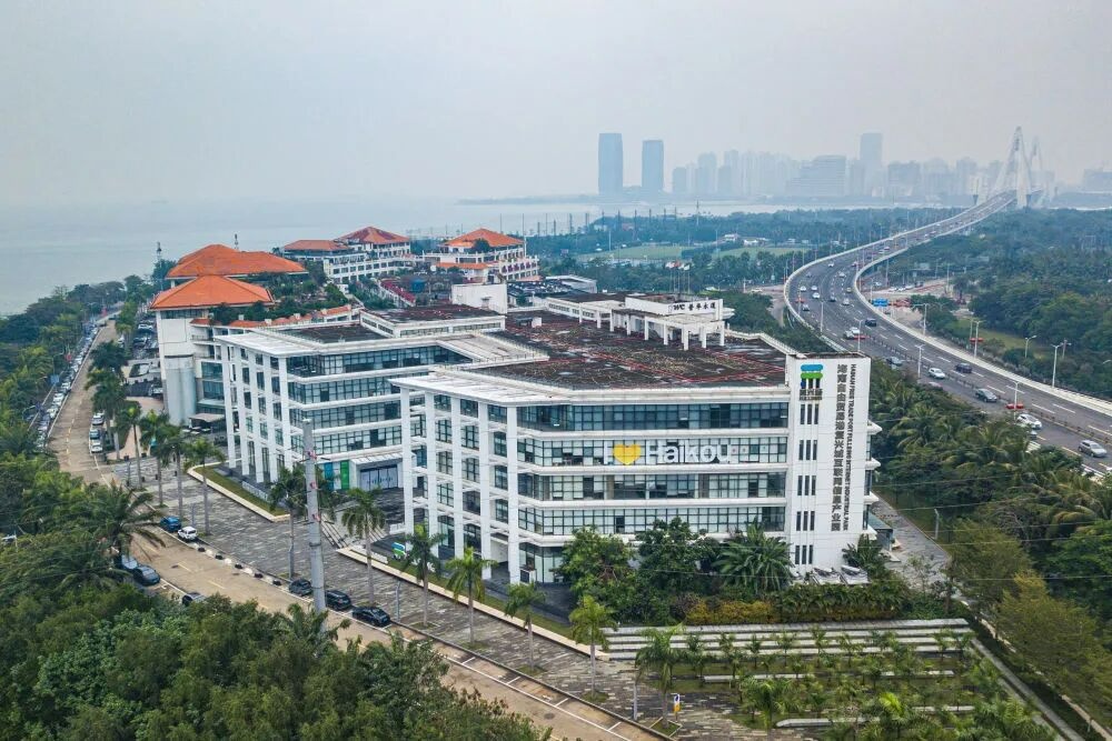 潮起海之南丨开放、政策、服务三重发力海口打造国际人才集聚高地