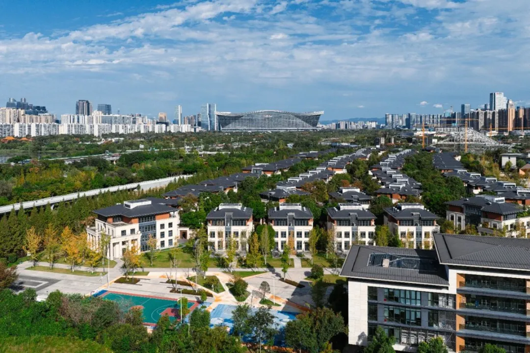 文化中国行丨AI时代“超级IP”的成都算法(图4)